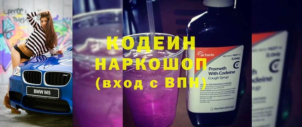 прущие грибы Абинск