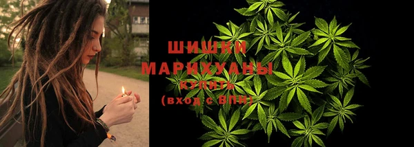 прущие крисы Алзамай